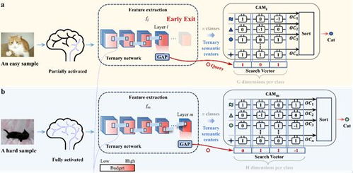 中国科学院微电子所等开发出基于语义记忆的动态神经网络